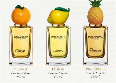 dolce gabbana citrus|dolce gabbana orange perfume.